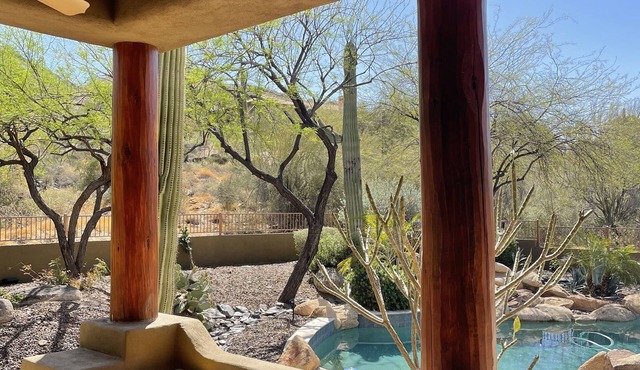 Black Mountain Oasis