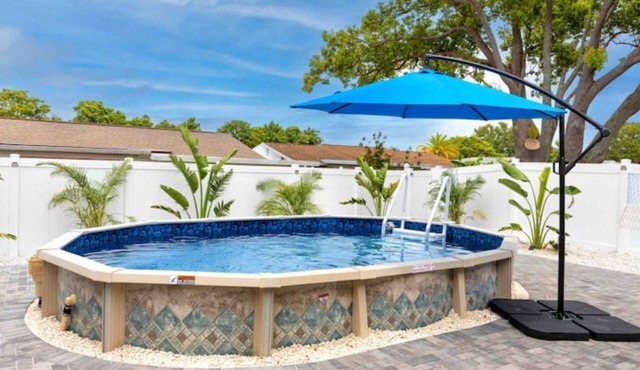 Blue Dolphin