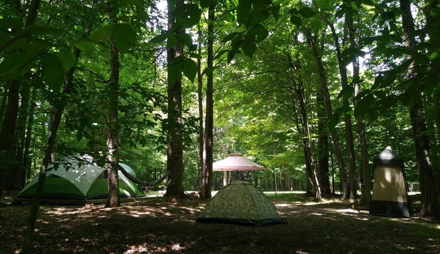 Blue Moon - Dark Skies, Spacious, Quiet, Fully Furnished Campsite
