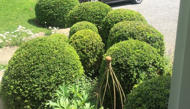 Bridgehampton South Garden Cottage in Bridgehampton