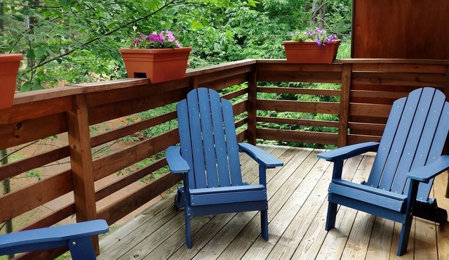 Camp Lily, Whiteface-Vacation, Modern Apartment, Perfect 2 bedroom with AC