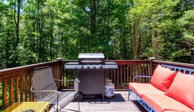 Carolina Cottage- endless outdoor adventures!