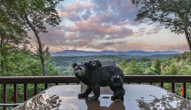 Carter`s Kaleidoscope View | Ellijay, GA