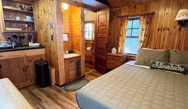 Charming Colden Adirondack Cabin