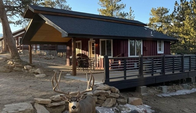 Charming Updated Rustic Cabin. Excellent Location Close to Town and RMNP!