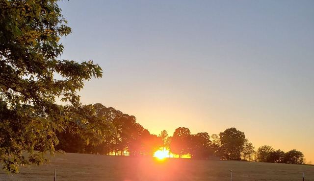 Circle E,Lake,Caverns,Sewanee &Jack Daniel’s close by with a jacuzzi waiting