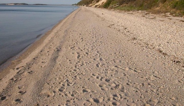 Classic Hamptons Beach Cottage