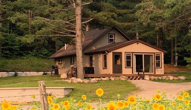 Come take a walk in our woods. in Grayling