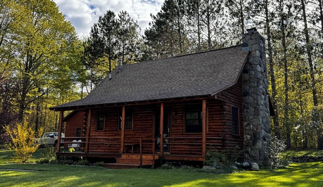 Cozy Harbor Springs cabin meticulously maintained on 4 acres.