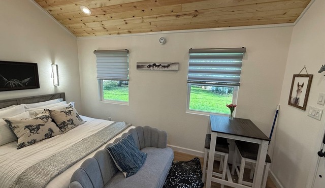 Cozy lakefront equestrian cabin near enchanting Mt Dora in Eustis