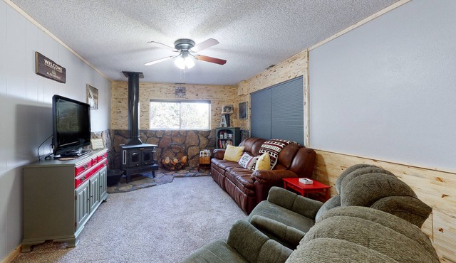 Cozy mountain-view cabin with fireplace, washer/dryer, and WiFi - dogs OK in South Fork
