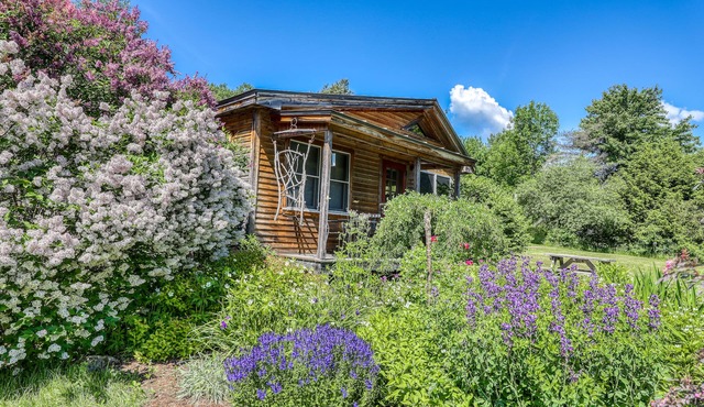 Cozy studio cabin with free WiFi, gas fireplace, and patio