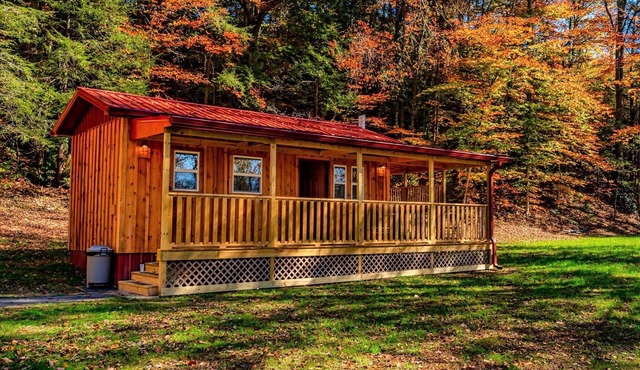Cuddling On The Creek Couples only romantic " TINY CABIN" retreat!