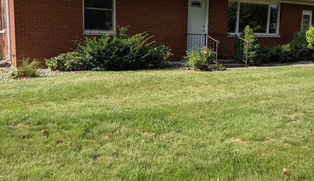 Davis Street Shipshewana