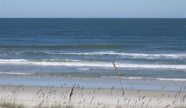 Direct Oceanfront & private, dog friendly, 2BR house, Labor Day availability. in St. Augustine
