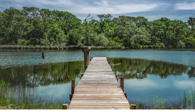 Down on the Bayou #7