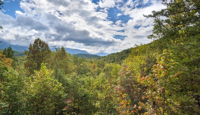 Eagle's Nest Hideaway