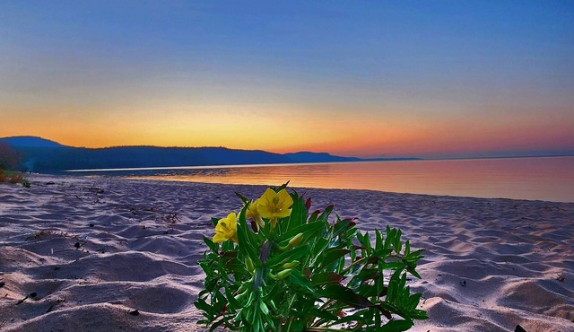*Experience Relaxation at our Lakeside Retreat and First-Class Ski Resort*