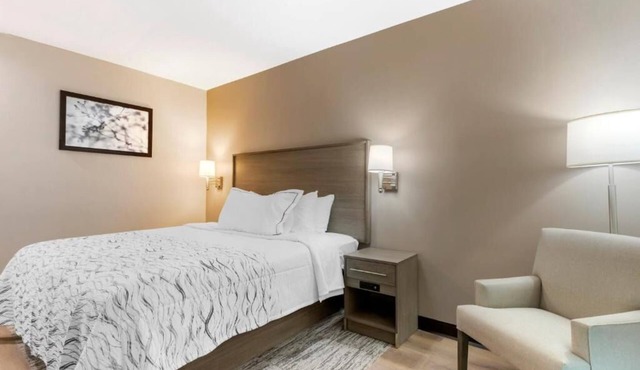 Explore Jamaica with This Affordable Room | Free Parking