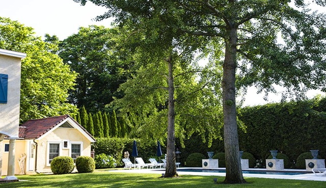 Fairy Tale Guest Cottage in Magic Garden by Pool