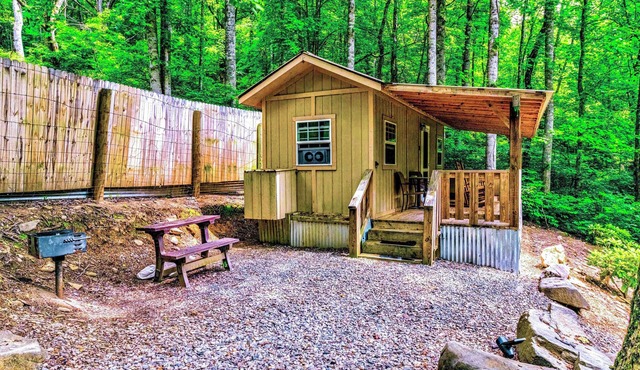 Fox Magdaline Mini Cabin at Panther Creek