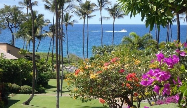 Ground Floor Unit; Stone's Throw to Beach and Pool