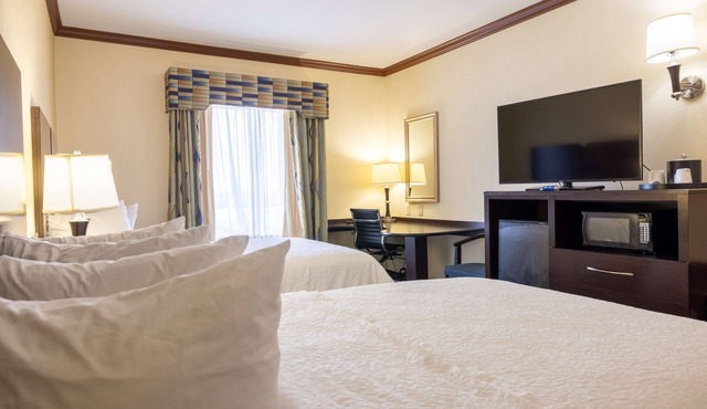 Hampton Inn Alice in Alice