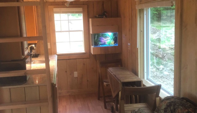 HideAway Tiny Cabin. In the Mountains AC Bathroom. Shower. Dog Friendly. in East durham