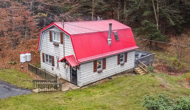 Hungry Hollow Hideaway - escape to this modern cabin on 15 acres