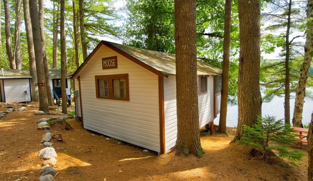 Lakefront Moose Tiny Cabin @ Getogether Stays in Orland