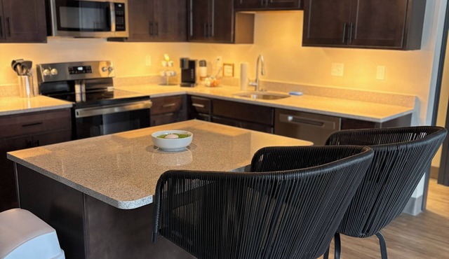 Luxury 1-bedroom Condo Downton Wifi, Balcony, Washer/Dryer, Full Kitchen