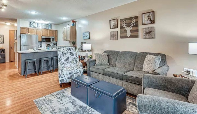 Modern Charmer 1 mile from Silver Dollar City!