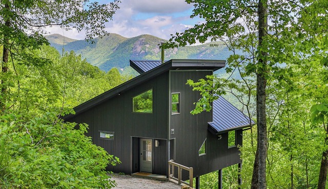 Modern Mountain Getaway Near Highlands, NC — Alinear Home