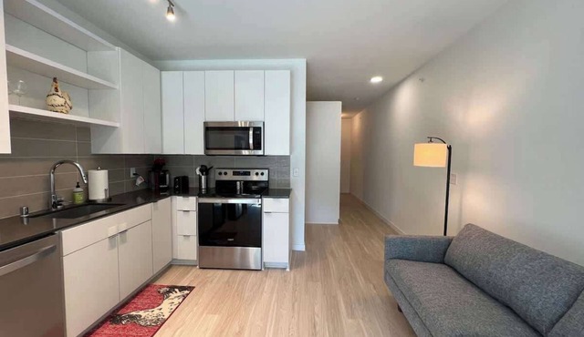 Modern Sunny Micro 1BR Light Rail, Parks, MSP 205