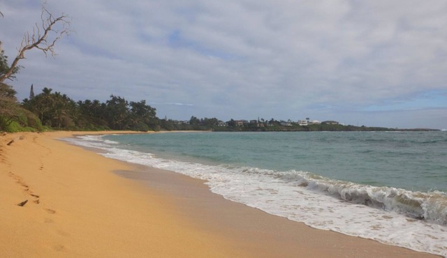 🌺Moku Paradise Hale - Oceanfront