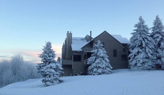 Mountain View Escape - 1BR Ski-in/out Rustic Condo