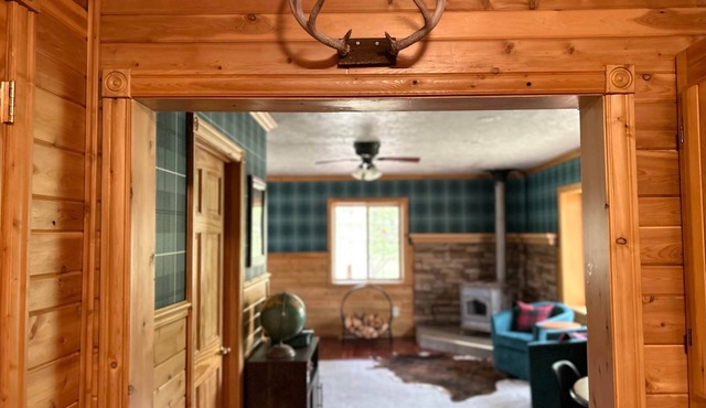 Newberry U.P. Cabin