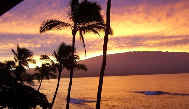 OCEANFRONT - TWO OCEANVIEW bedrooms - 20 feet from water - Kanai a Nalu 401