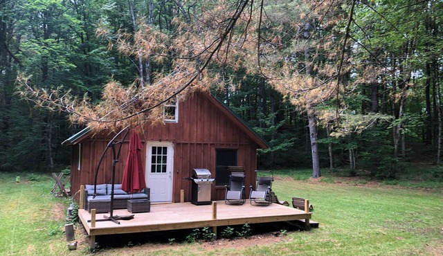 Off Grid Cabin In The Woods.