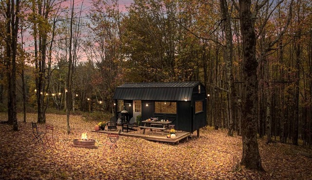 Off-Grid Tiny Cabin Retreat with Fire Pit & Forest Views in Bovina, New York