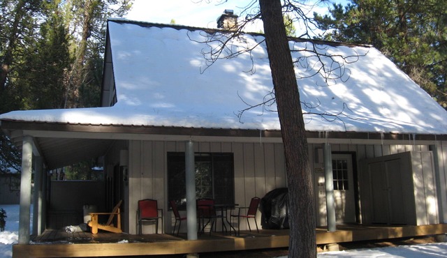 Pet Friendly Circle 4 Cabin And People Friendly As Well