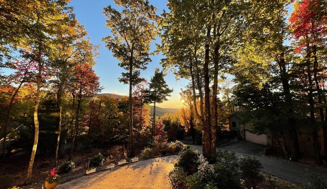 Pet Friendly/Elevator/Firepit/BBQ Grill/Resort Amenities