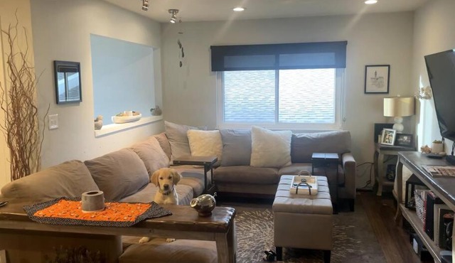 Pet friendly in Boulder! Minutes from CU & Pearl!