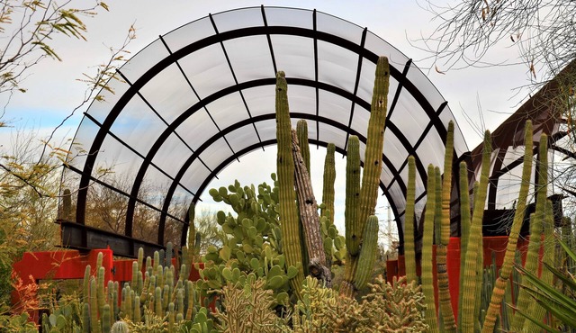 Pet-friendly Property Near OdySea Aquarium AZ! Outdoor Pool, Full Kitchen!