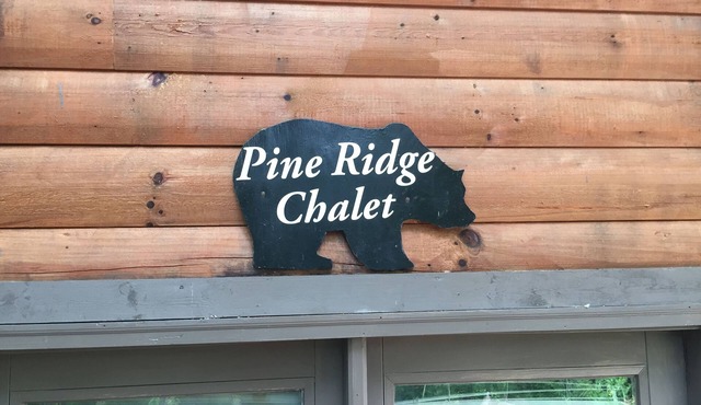 Pine Ridge Chalet- Fall is here! WNC is Ready for You! in Candler
