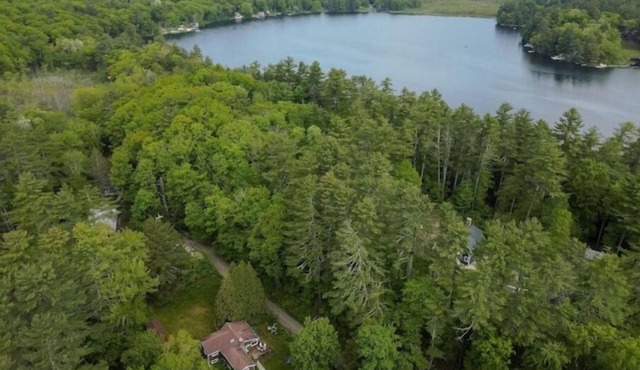 Pine View Cottage, Berkshires Getaway Lake Buel w/lake rights. Pet friendly!