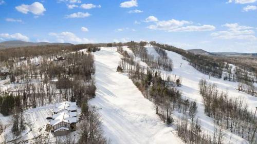 Premium Slope-Side Escape I Alpen Villas at Powderhorn Mountain