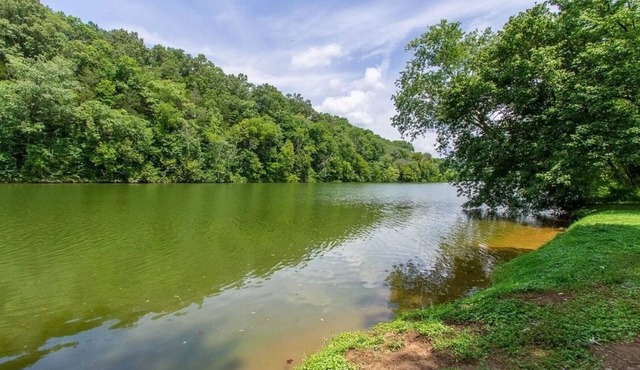 Private waterfront cabin in nature: Rio Cruz Retreat