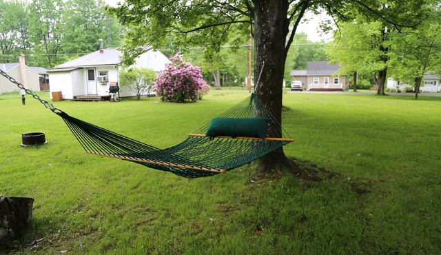 Pymatuning Lake Walking distance to Espyville Marina!