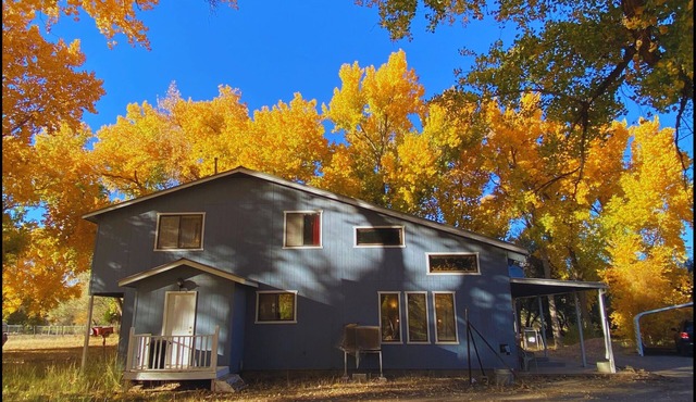 Riverfront Property with On Site Private Fishing on the San Juan River!